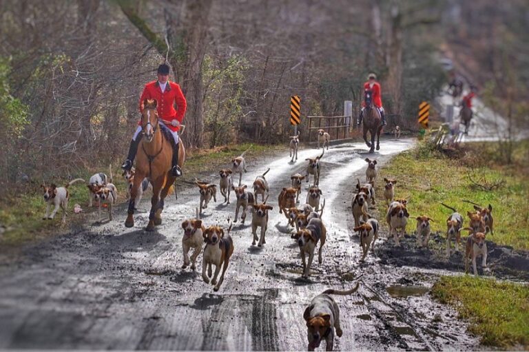 Keswick Hunt Club in Central Virginia